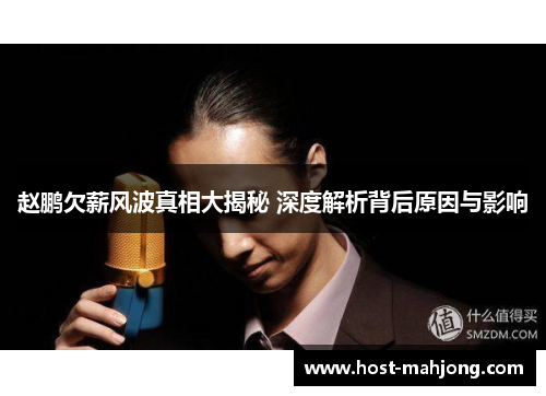 赵鹏欠薪风波真相大揭秘 深度解析背后原因与影响