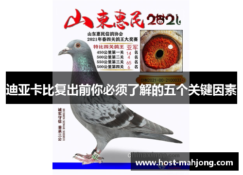 迪亚卡比复出前你必须了解的五个关键因素 迪亚卡比复出前你必须了解的五个关键因素