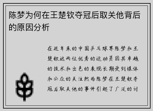 陈梦为何在王楚钦夺冠后取关他背后的原因分析 陈梦为何在王楚钦夺冠后取关他背后的原因分析