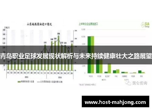 青岛职业足球发展现状解析与未来持续健康壮大之路展望